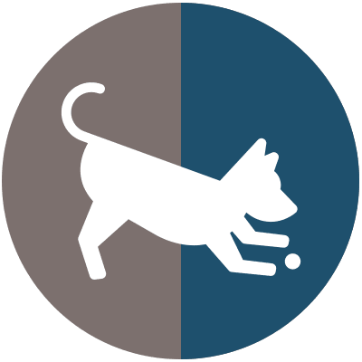 Veterinarian, Pet Boarding, Dog Daycare, Grooming San Juan Capistrano | Ortega  Animal Care Center