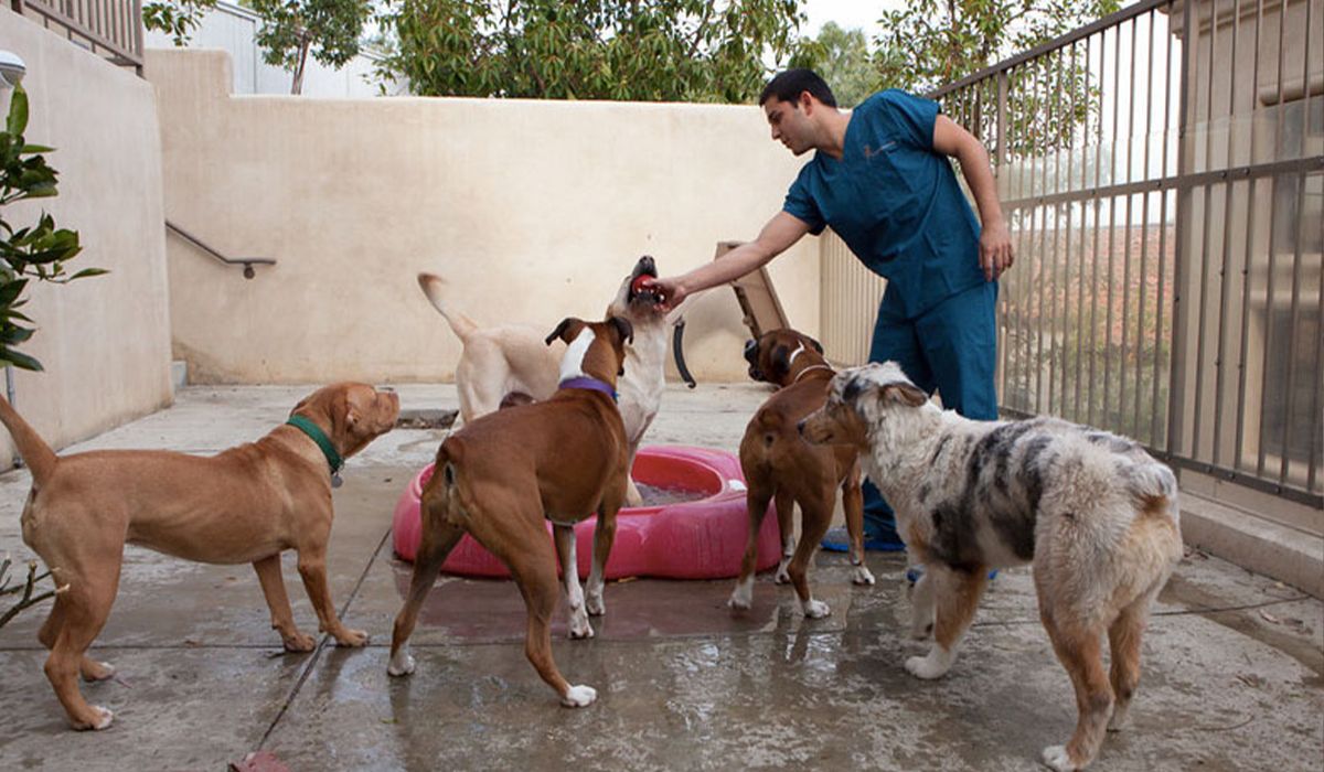 Welcome to Ortega Animal Care Center! - Blog