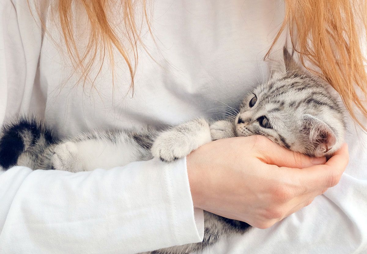 woman holding a cute kitten