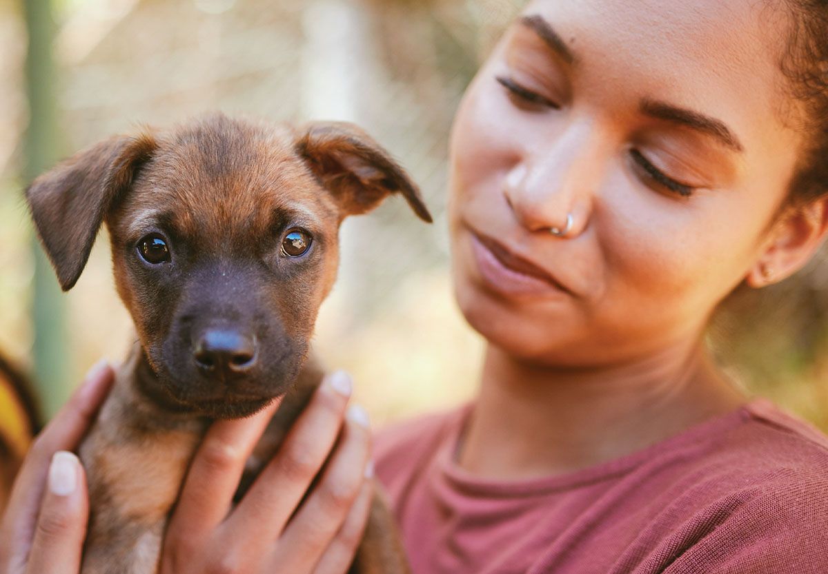 woman looking her brown puppy